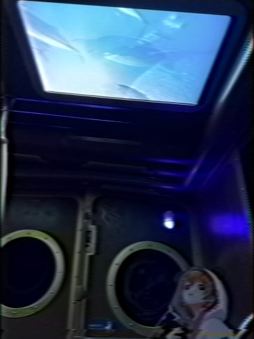 MeraAiruChannel's tweet photo. 🐟
🚃 https://t.co/cPO9jsSX8T