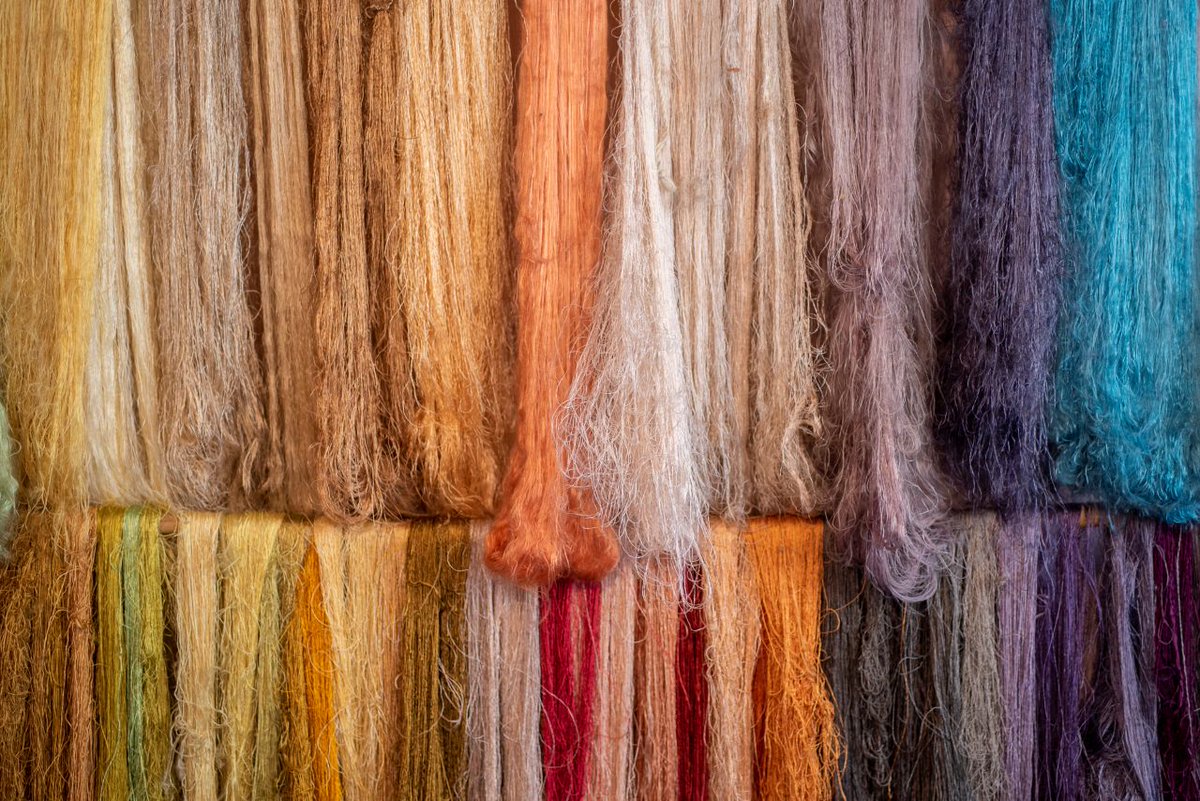 Spain in USA tweet media