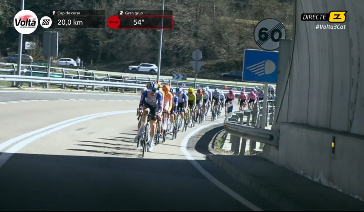 Toni Calvo tweet media