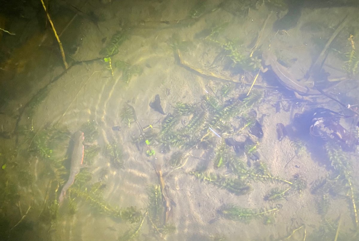 なおこ tweet media