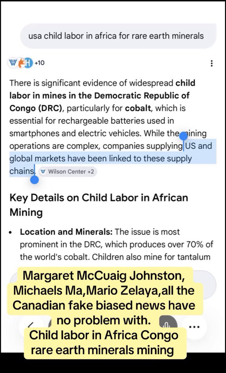 falun dafa lies tweet media