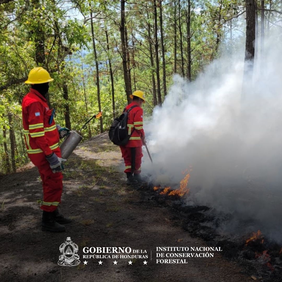 Instituto Nacional de Conservación Forestal tweet media
