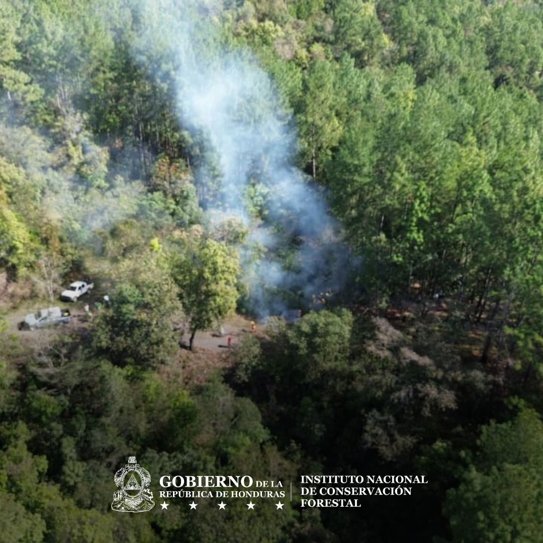 Instituto Nacional de Conservación Forestal tweet media