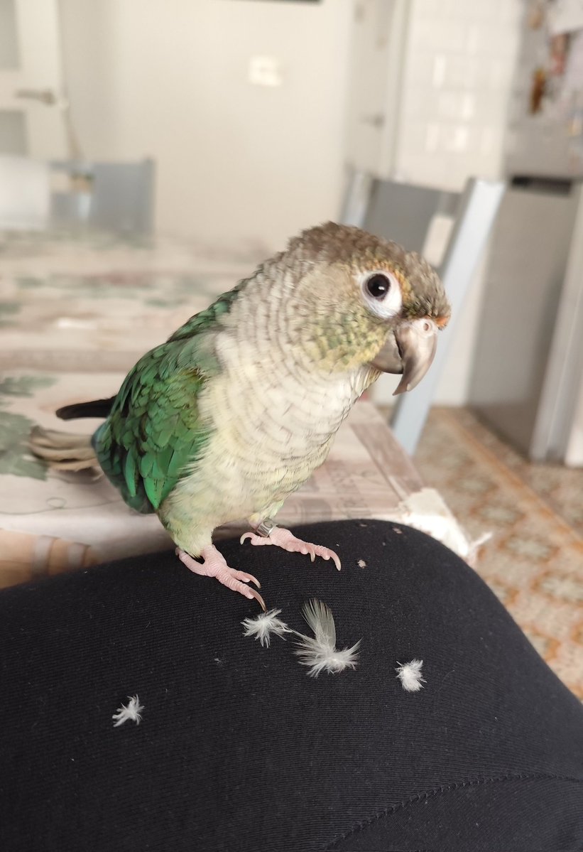 🐺 Kim 🍂 tweet media