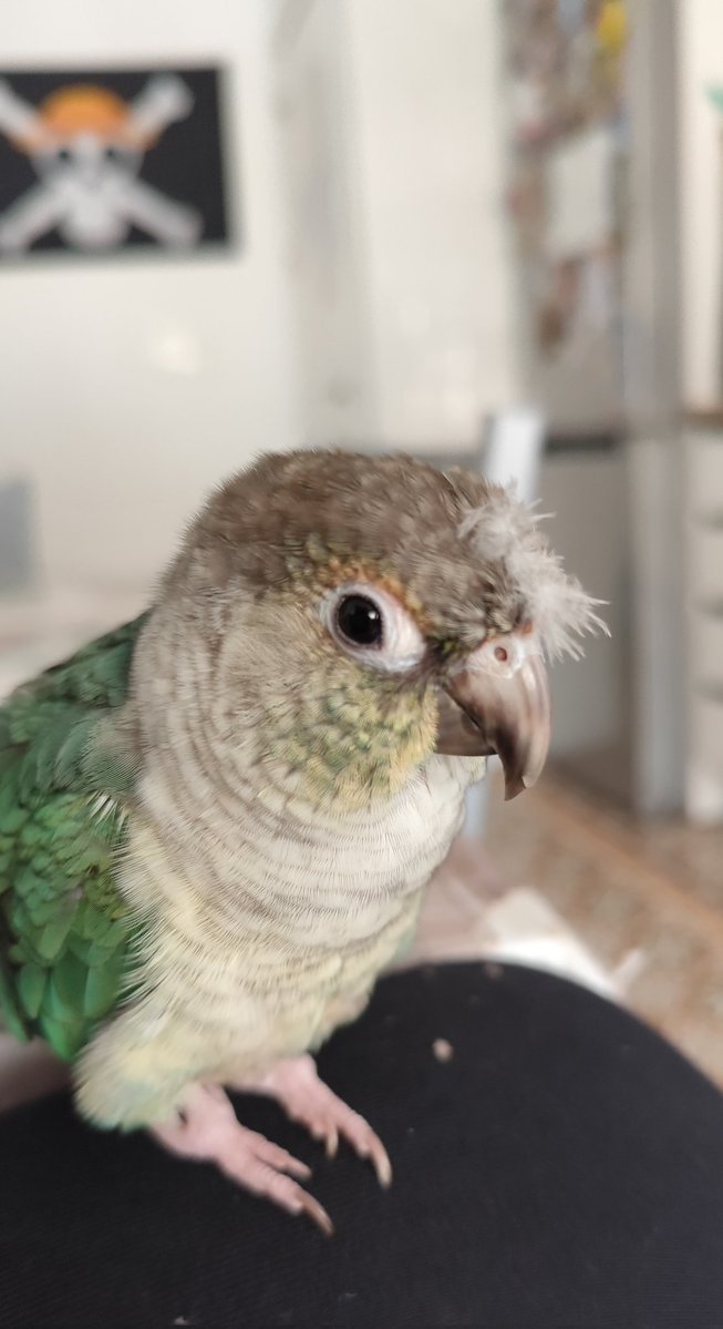 🐺 Kim 🍂 tweet media