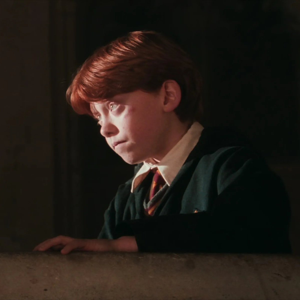 🐕🦦 tweet media