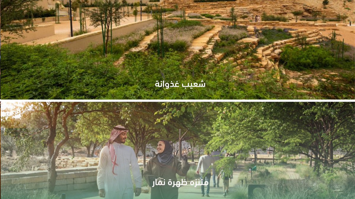 في #يوم_مبادرة_السعودية_الخضراء، نواصل العمل بمشاريع بيئية طموحة لتحقيق الاستدامة البيئية، ودعم رؤية المملكة نحو مستقبلٍ أكثر ازدهاراً ونماءً
#استدامة_الرياض