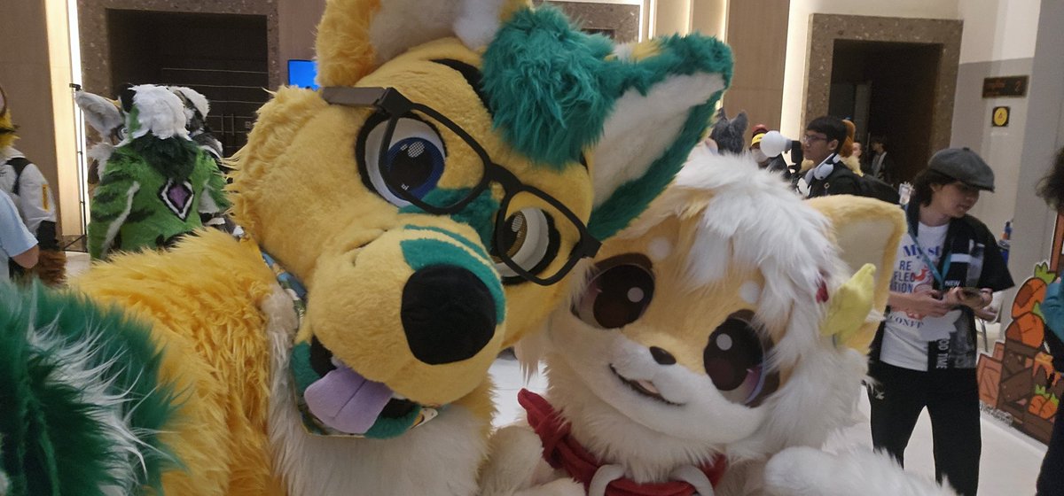 Asther Wolfie, Back to Australia 2025! tweet media