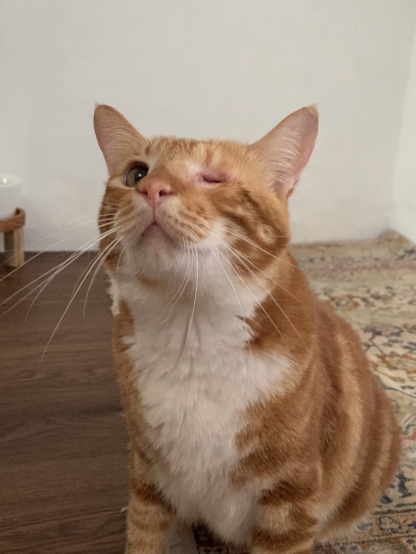 Sam 🦖 tweet media