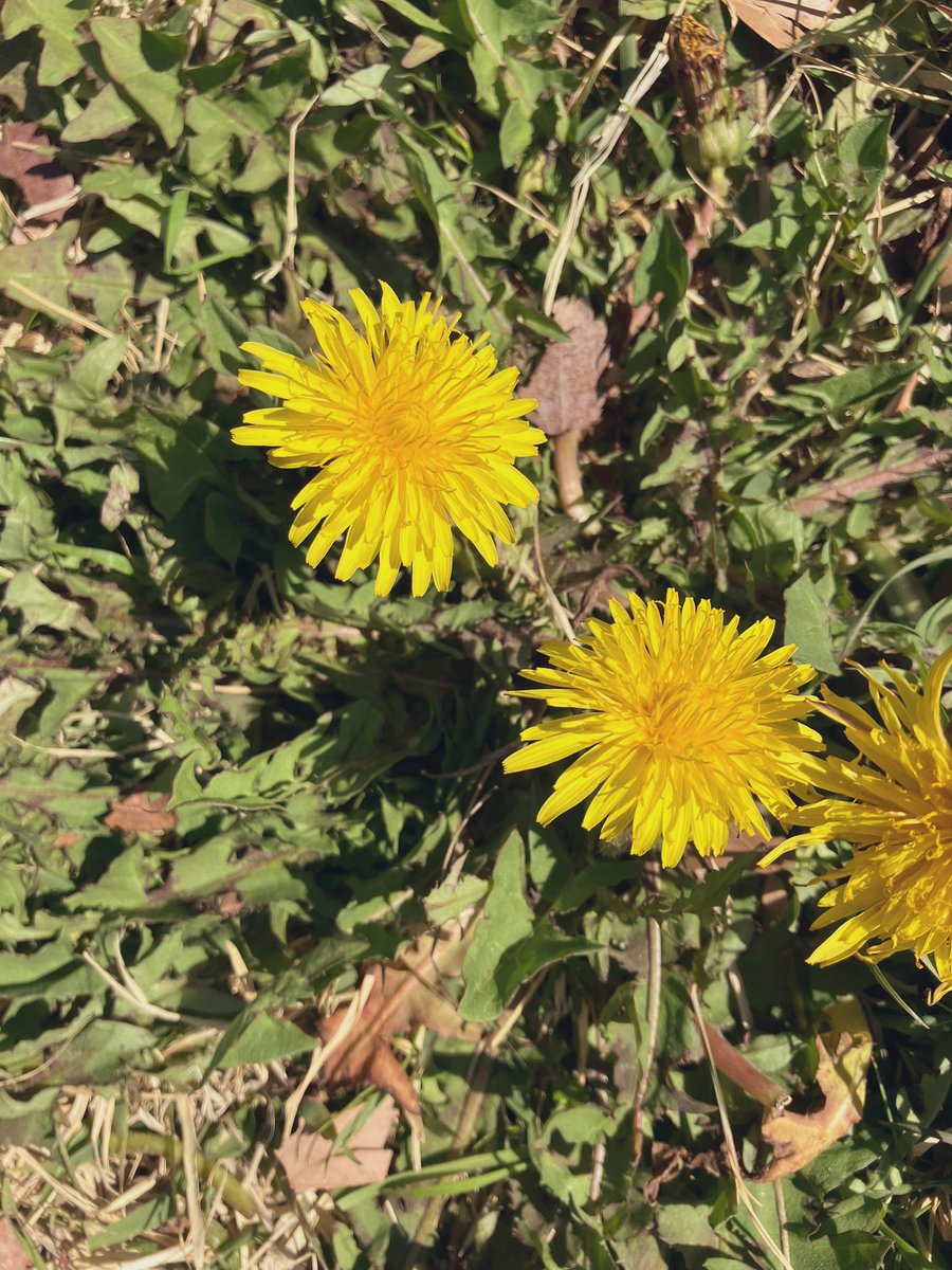 もこ3/28ラブスピ岡崎 tweet media