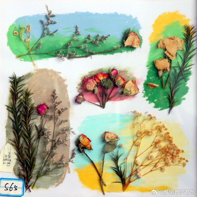 Abdalah Cisse tweet media