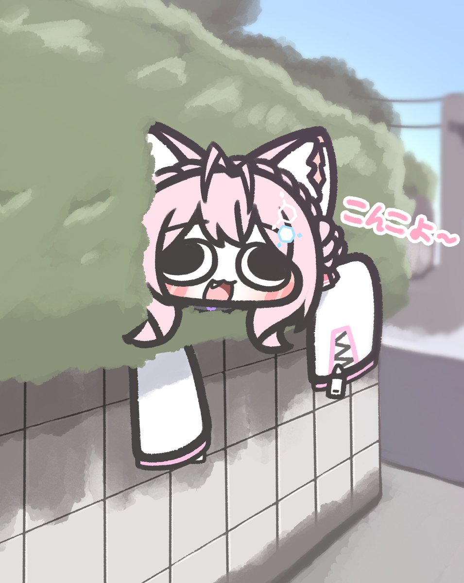 MIYAOO / 미야옹옹 tweet media