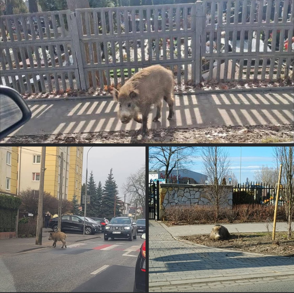 Ka SzaLew 📚 tweet media