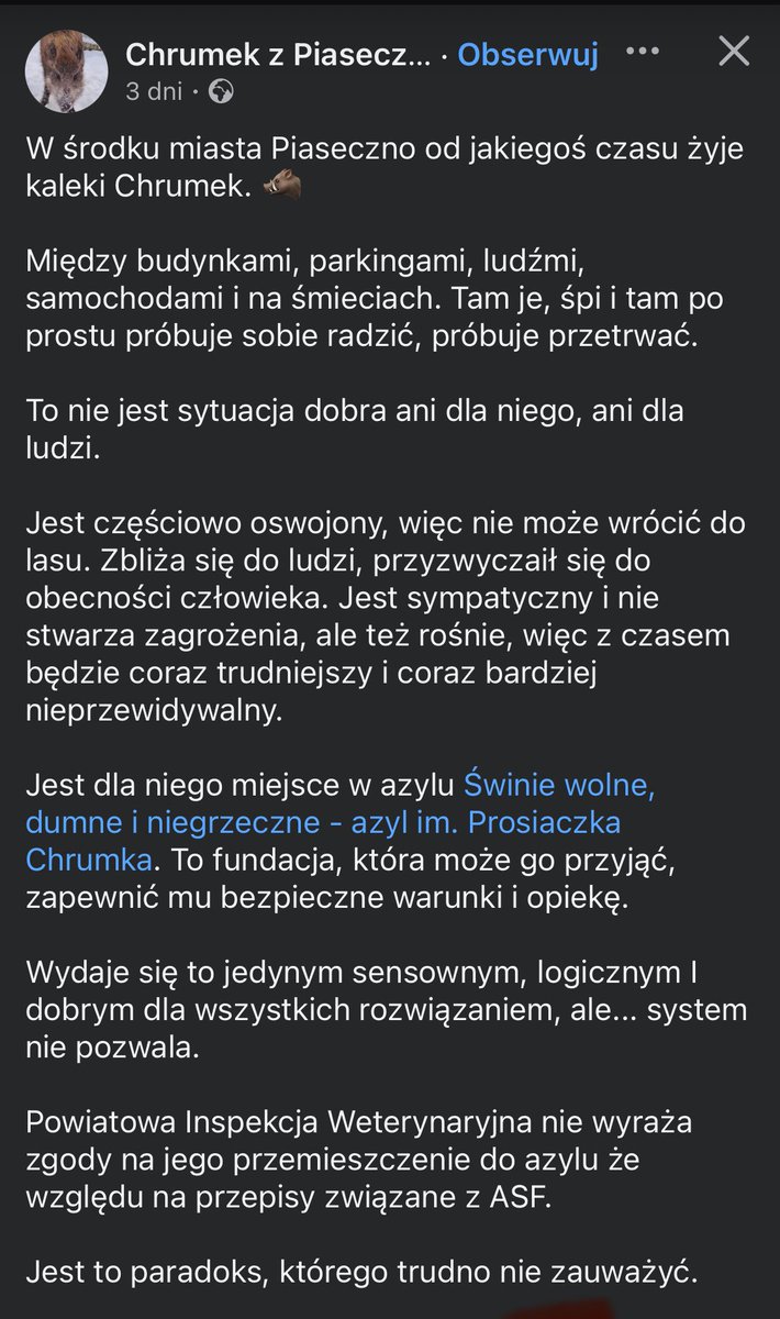 Ka SzaLew 📚 tweet media