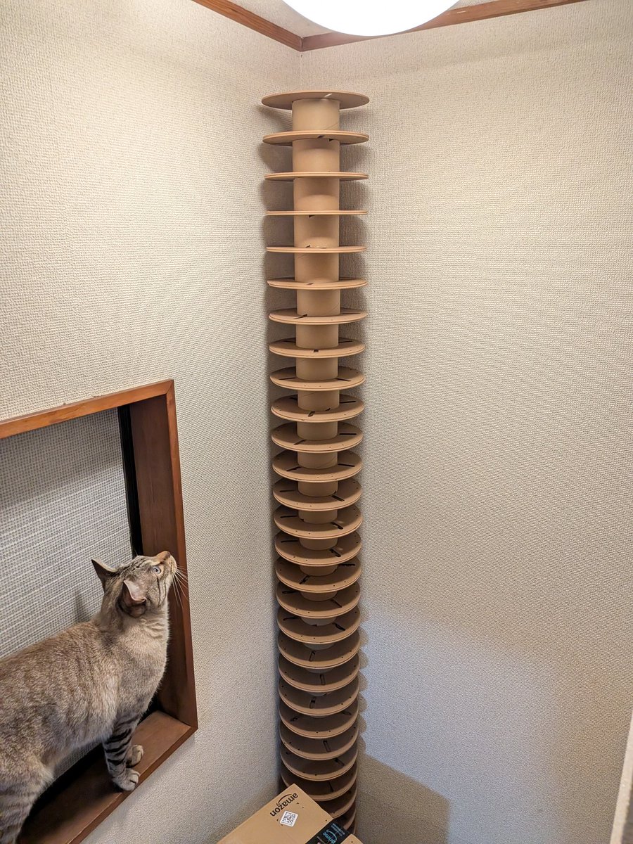 萩原 亮 HAGIWARA Ryo tweet media