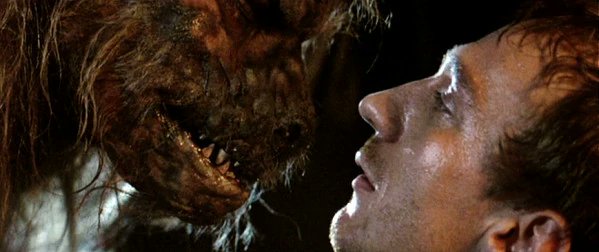 Mario Ilario (Bicho Azul) tweet media