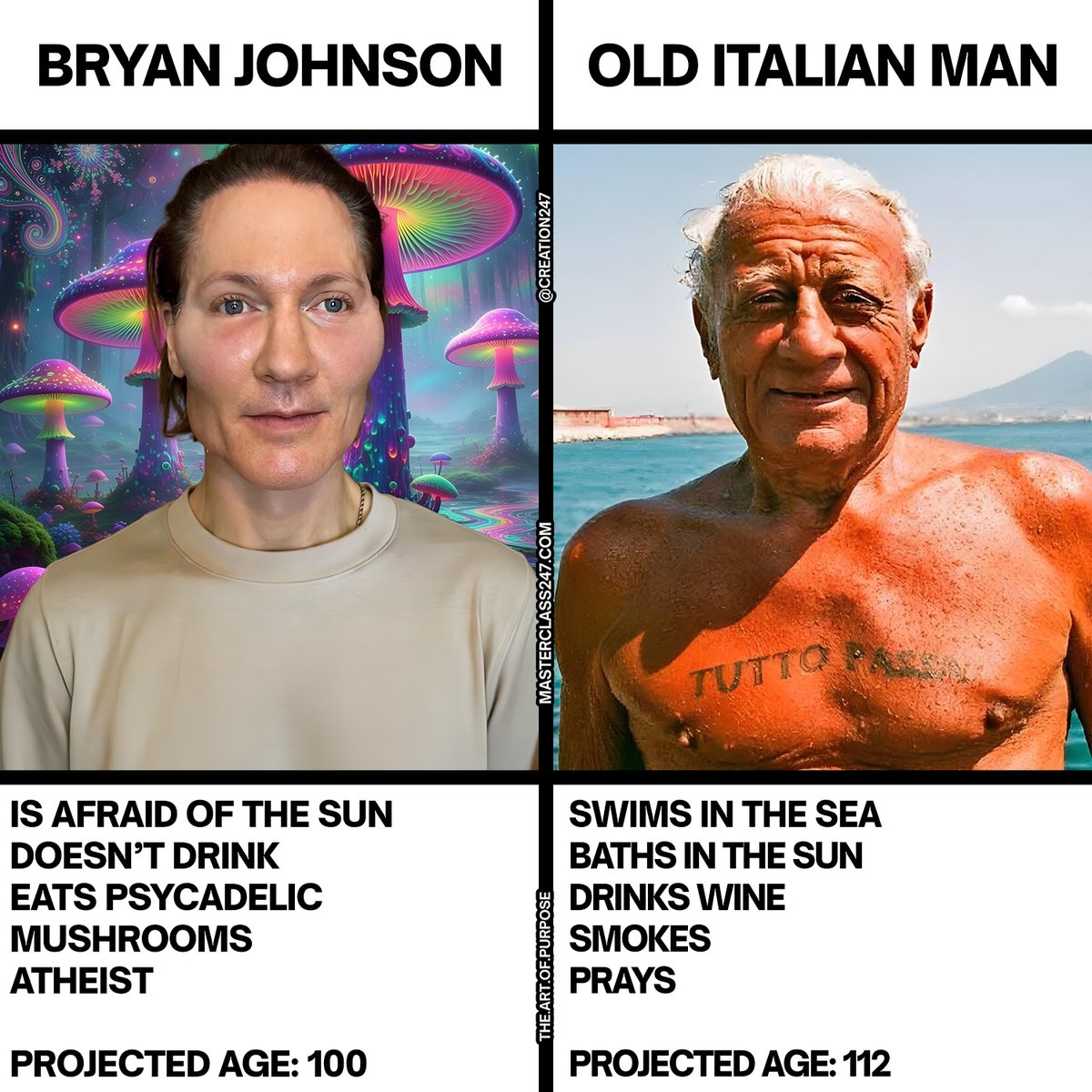 𝐓𝐡𝐞 𝐀𝐫𝐭 𝐨𝐟 𝐏𝐮𝐫𝐩𝐨𝐬𝐞 🇺🇸 tweet media