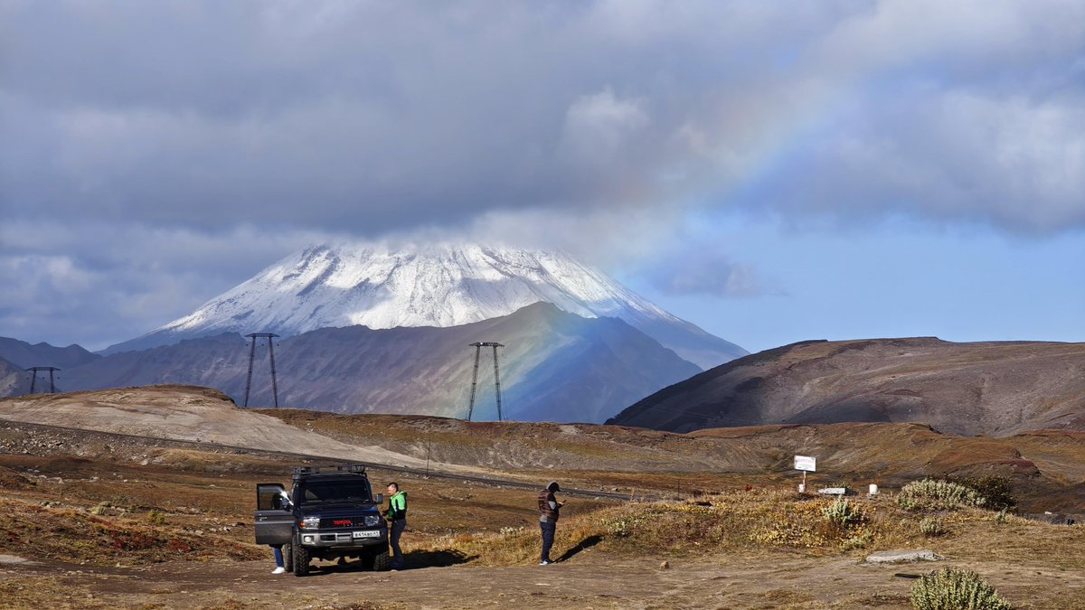 alex wardle tweet media