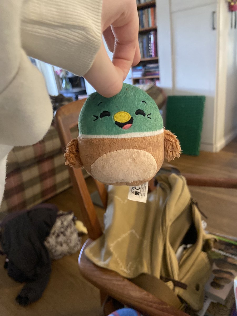 gus 🦮 tweet media