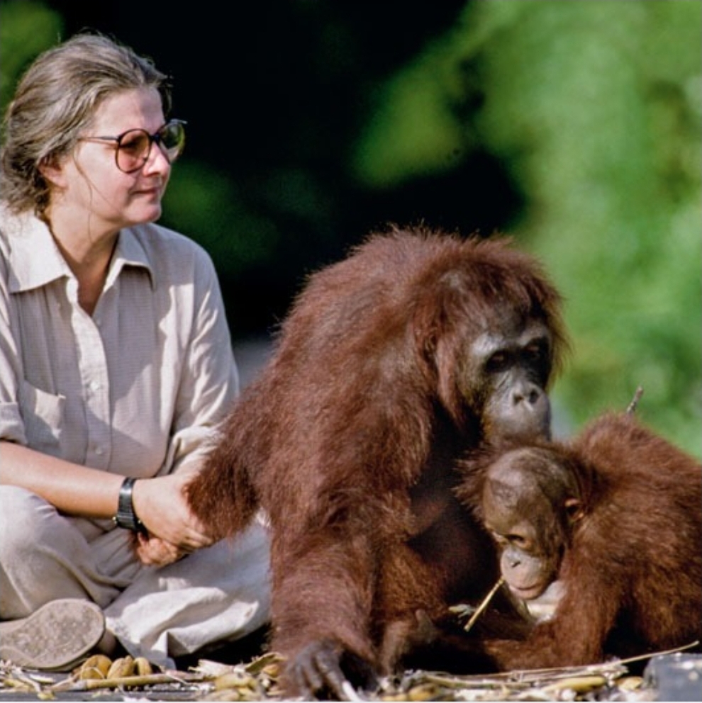 Enséñame de Ciencia tweet media