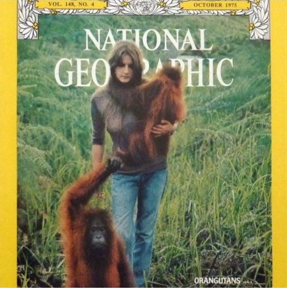 Enséñame de Ciencia tweet media