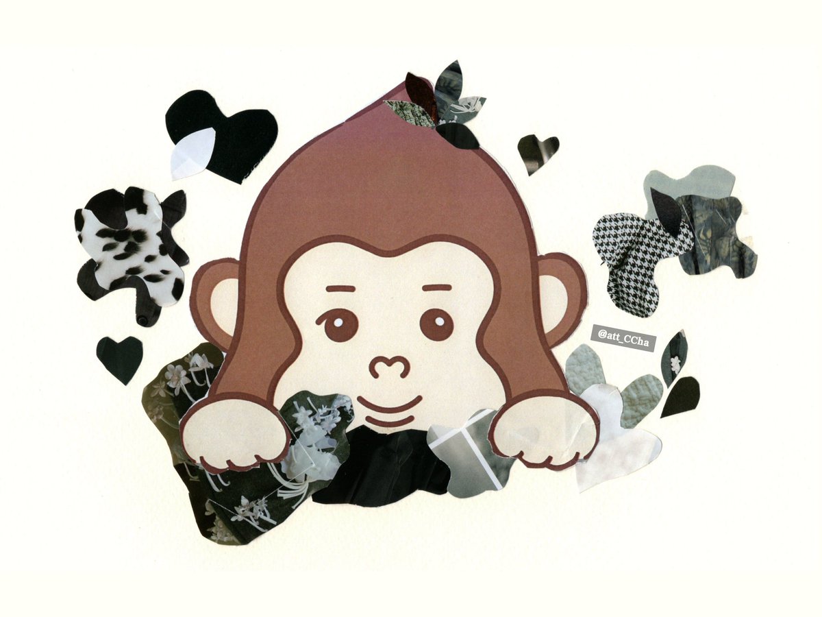 엇챠💪🏻 tweet media