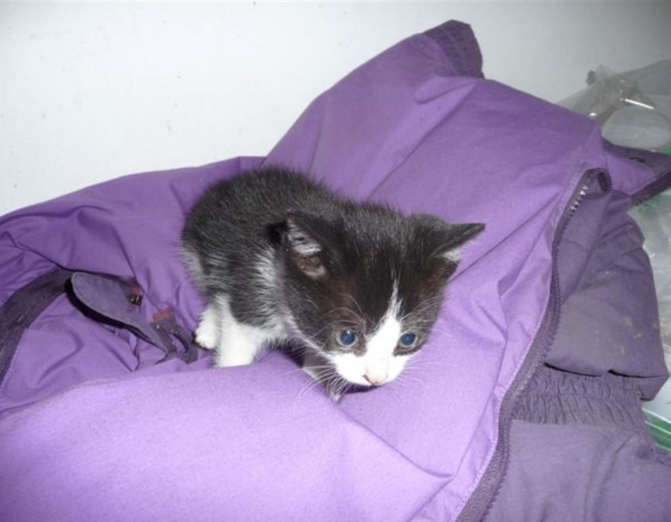 🇪🇺 🇺🇦 Borg Fella 🇺🇦 🇪🇺 tweet media