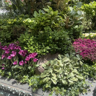jontice1's tweet photo. #NewProfilePic https://t.co/IojsD1CiNZ