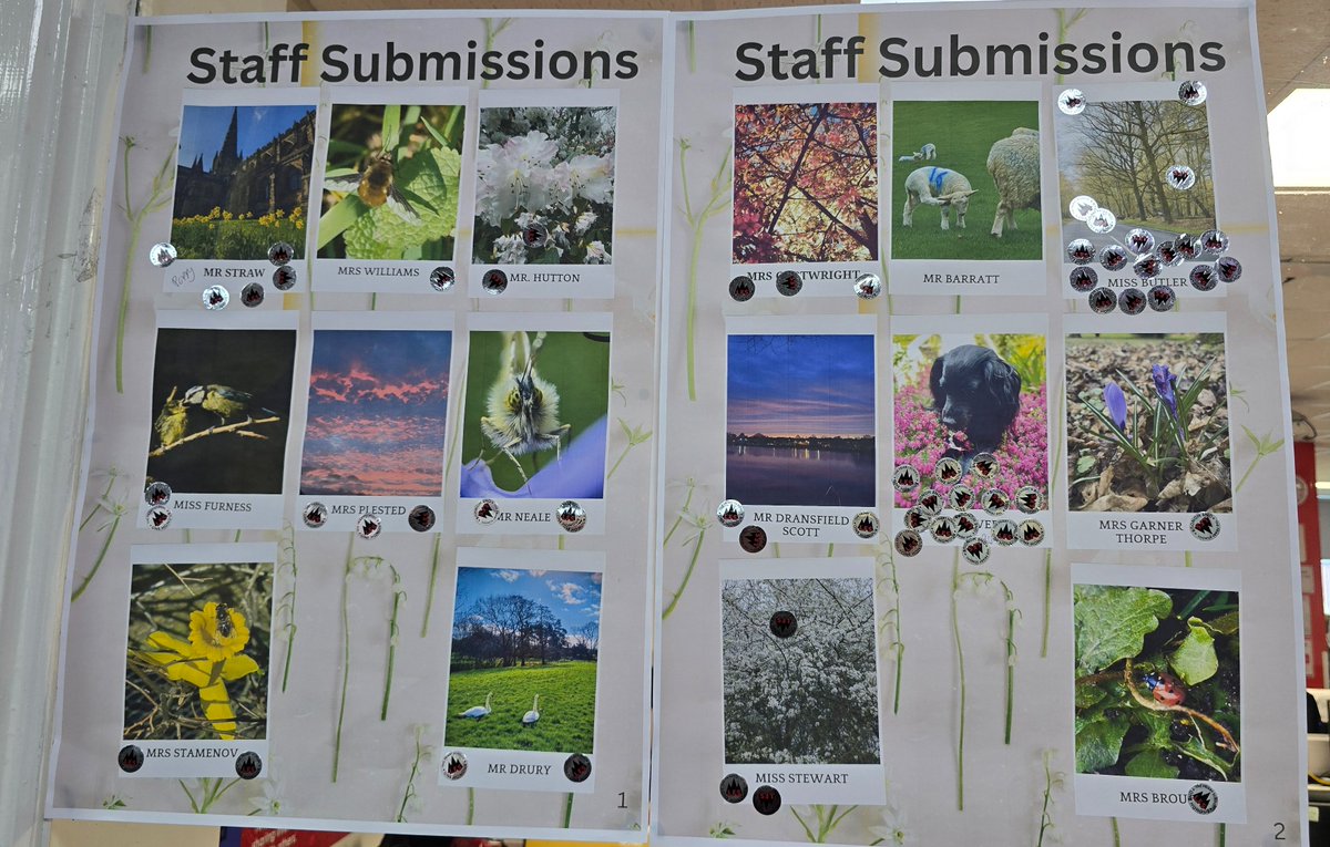 The Friary School tweet media