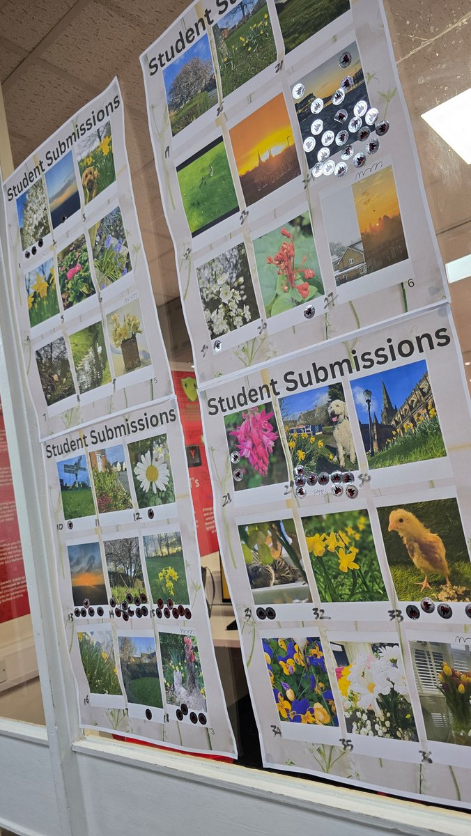 The Friary School tweet media