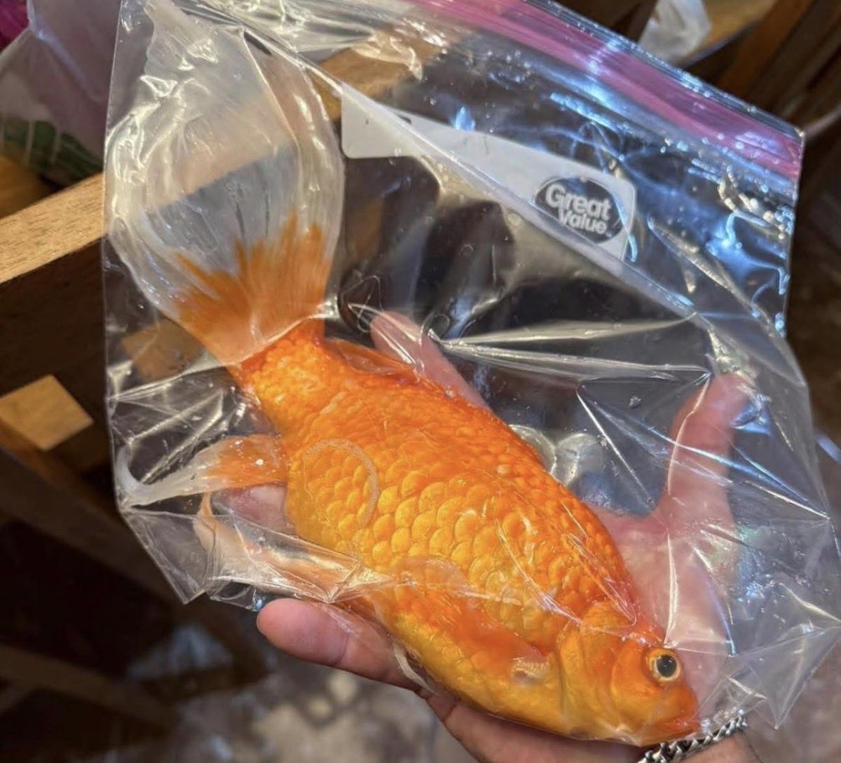 SweetMarie tweet media