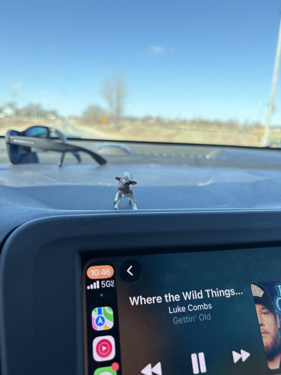 Blake Dowell tweet media