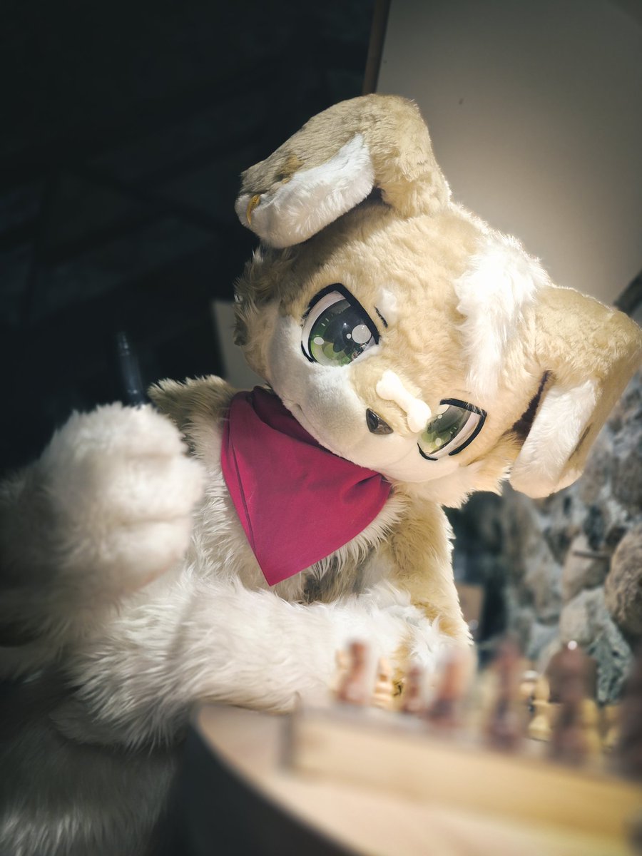 帕尼歐 tweet media