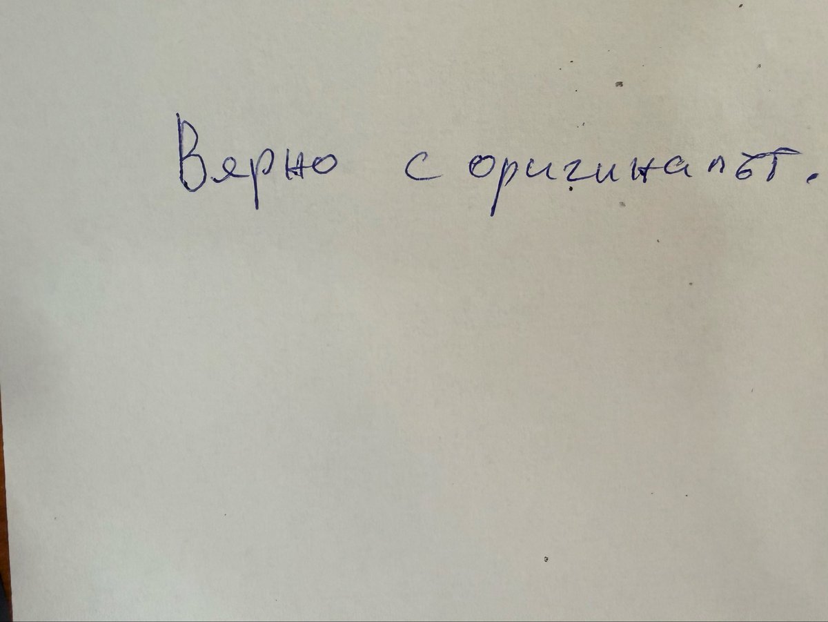 Elena Borisova tweet media