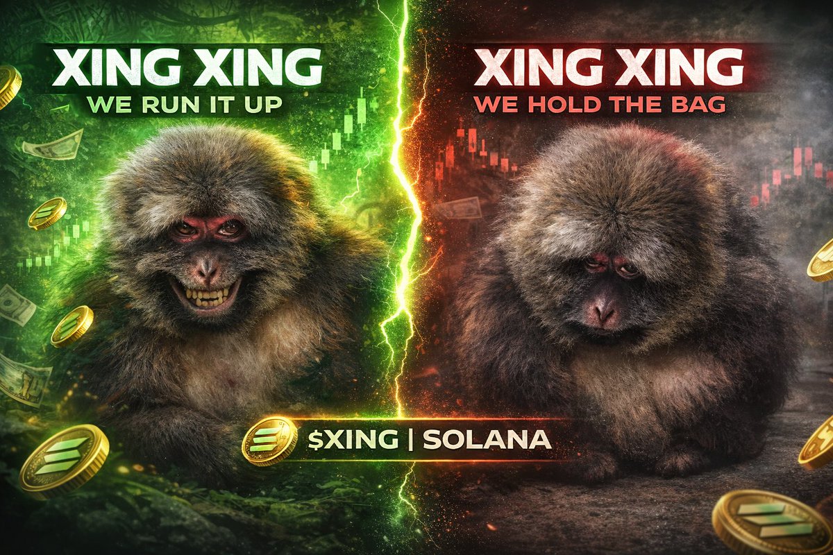 lost sol BSL tweet media