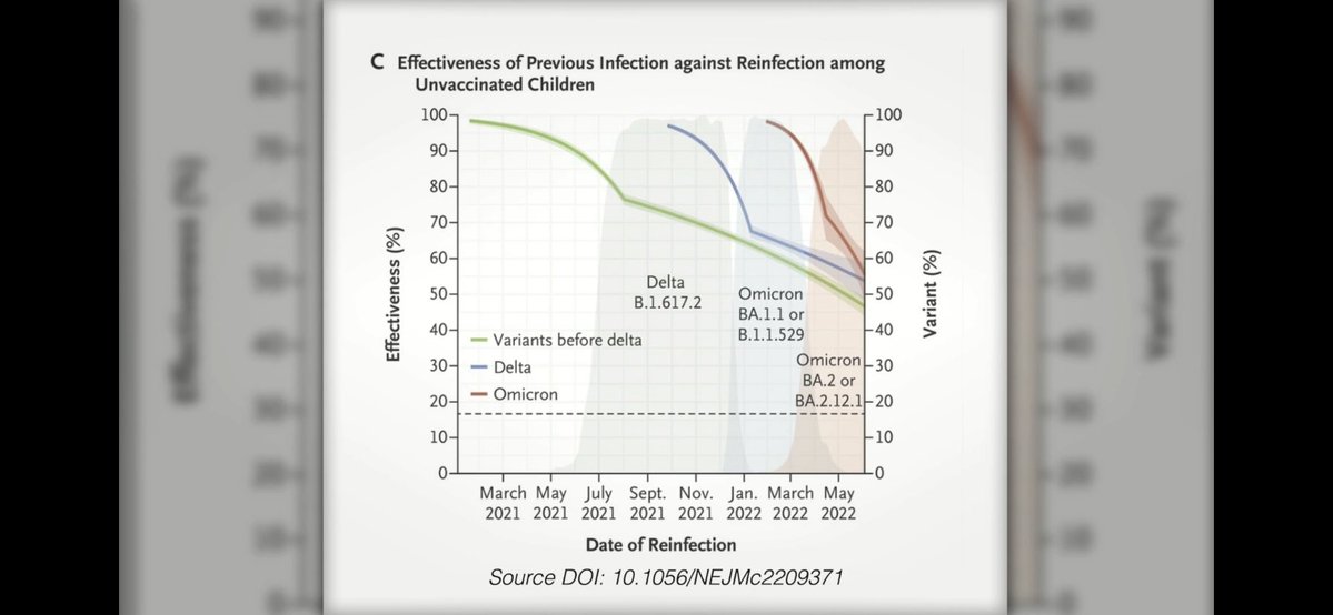 Brushfire Fairytale tweet media