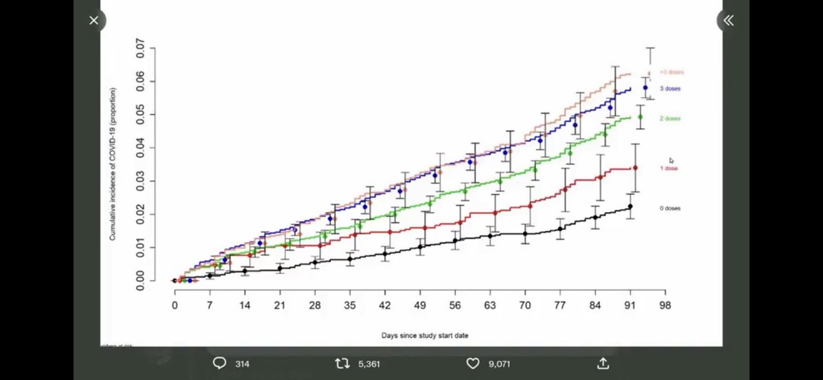 Brushfire Fairytale tweet media