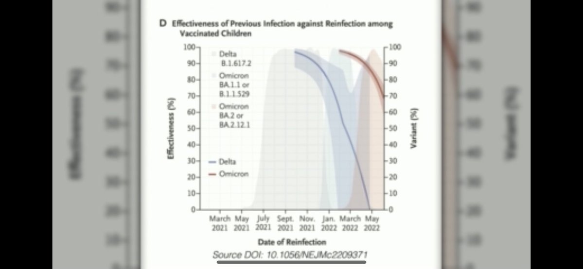 Brushfire Fairytale tweet media