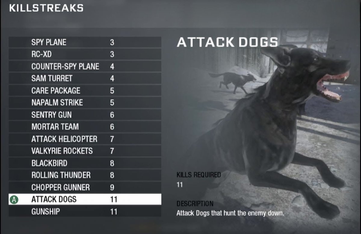 Glock9Dorito tweet media