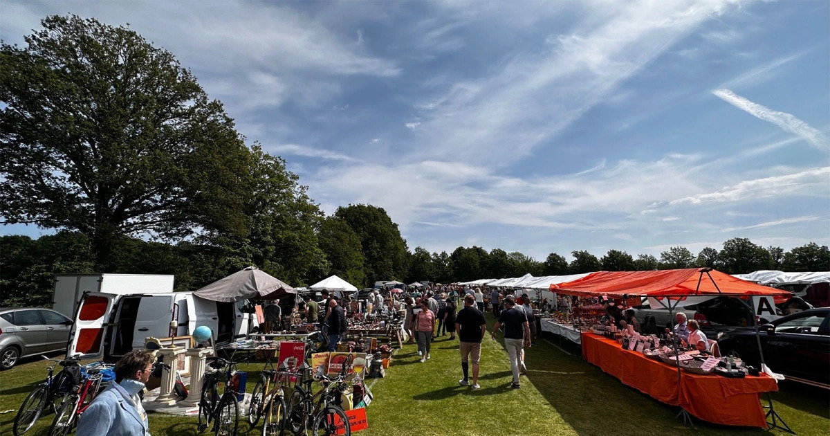 UDI'19/Swiss Sense tweet media