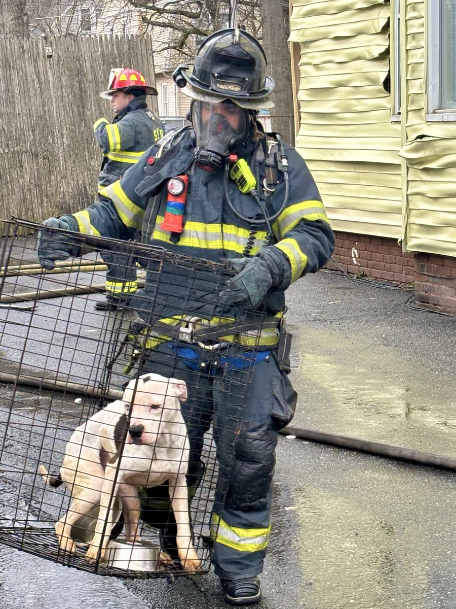 SPRINGFIELD FIRE tweet media