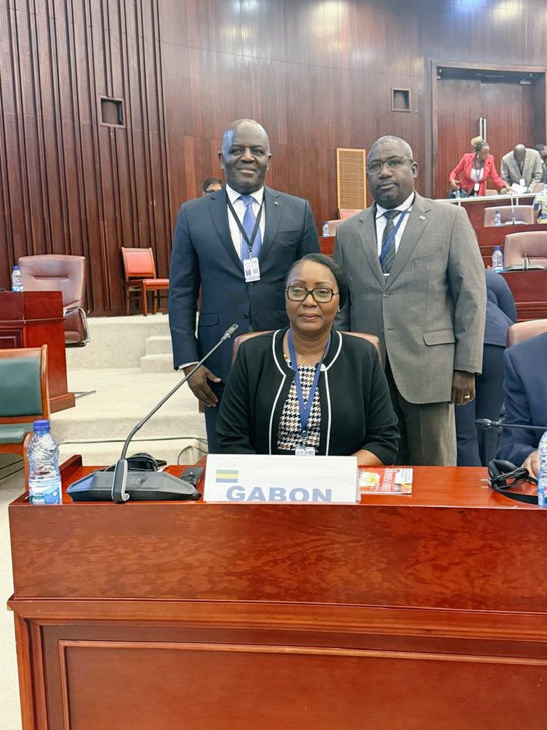 Ambassade du Gabon en Belgique tweet media