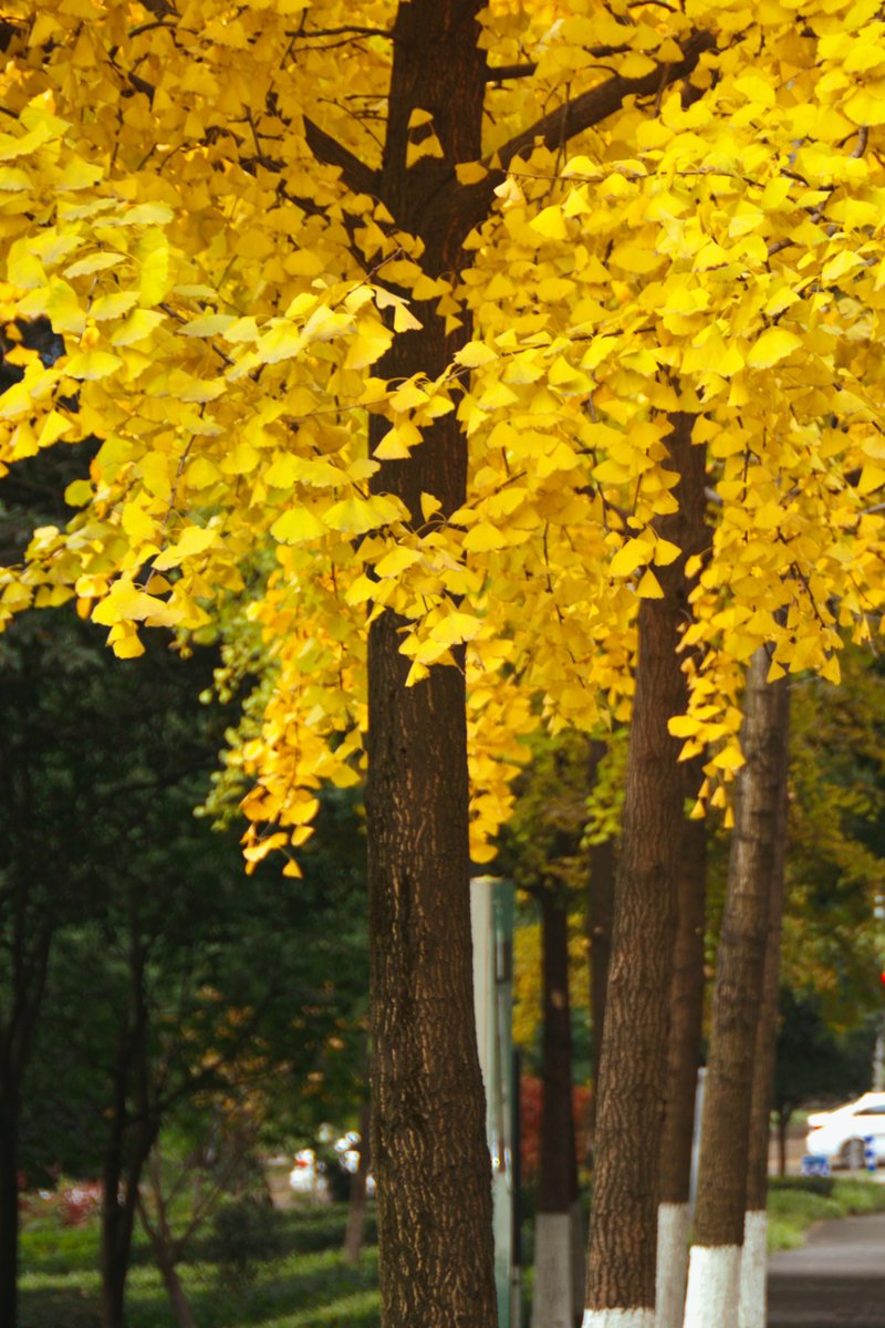 Vicky Jernigan tweet media