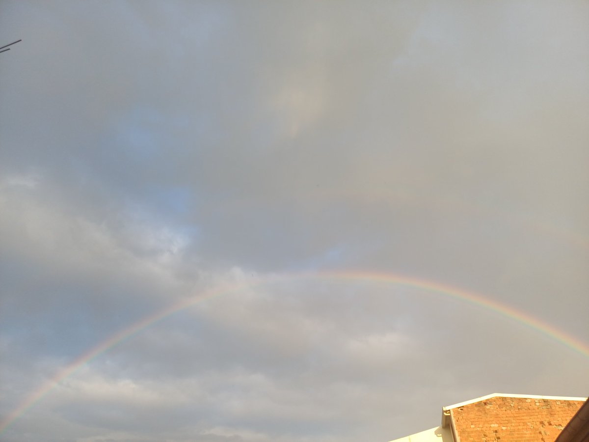 𝓢𝓮𝓵𝓮𝓷𝓪𝔂🦢 tweet media