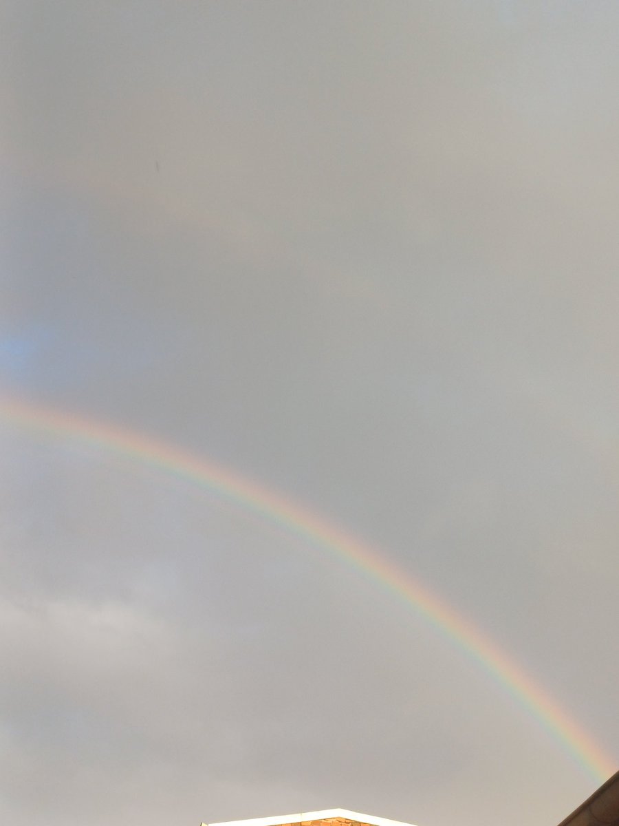 𝓢𝓮𝓵𝓮𝓷𝓪𝔂🦢 tweet media