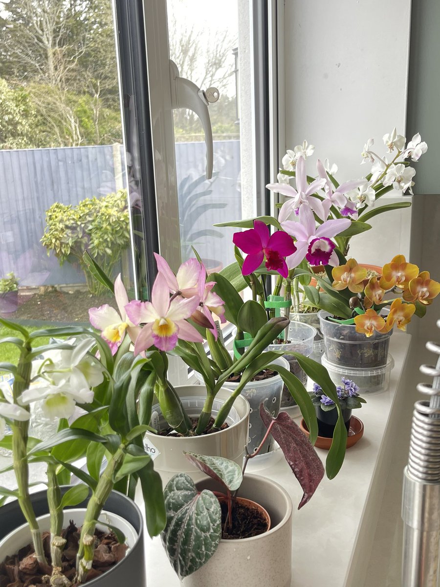 Inga Nik tweet media