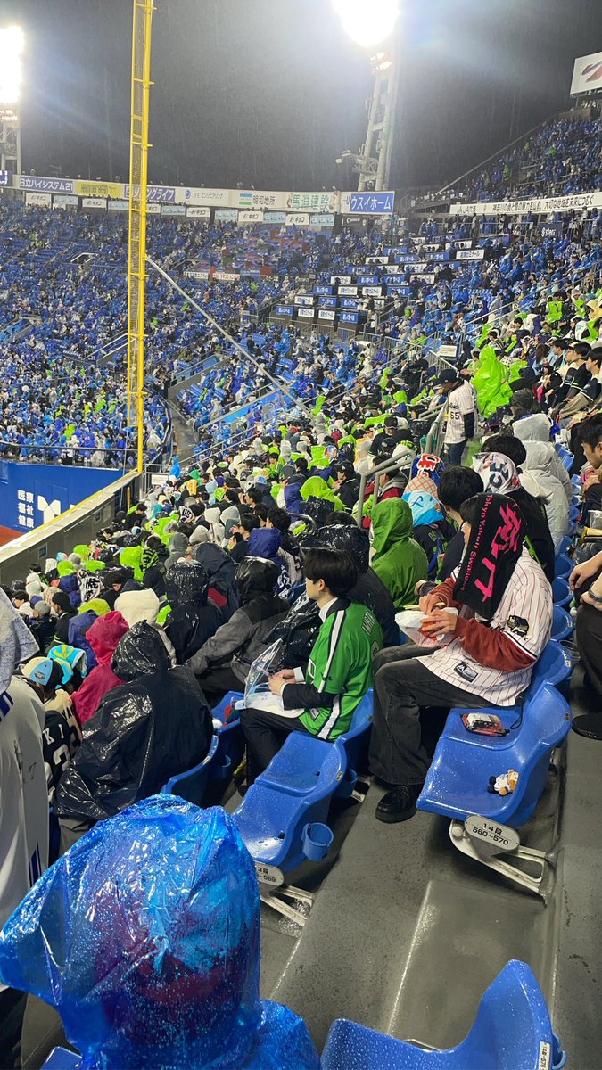 ウェンデル犬 tweet media