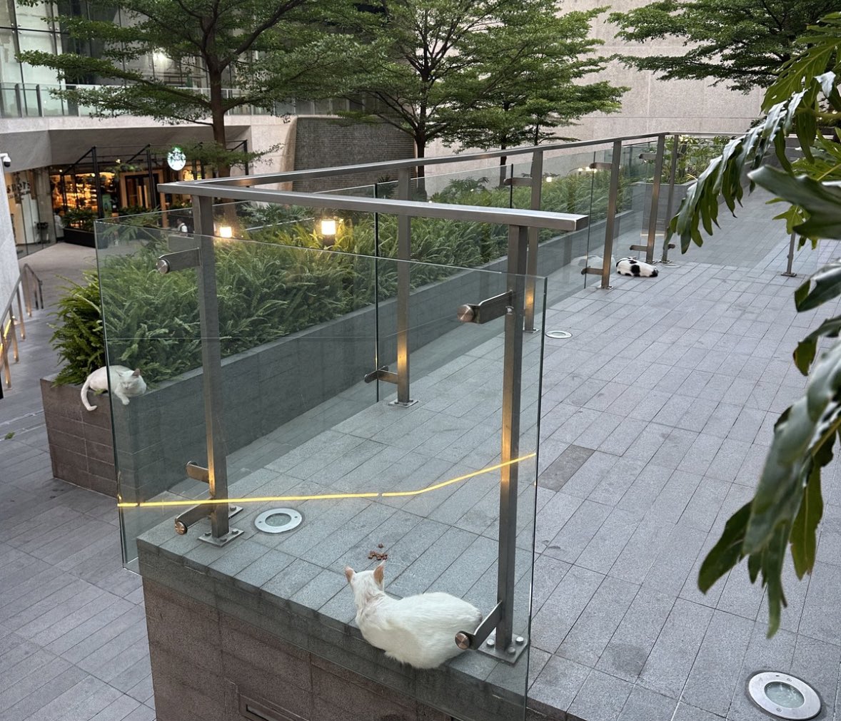 patch ☻ tweet media