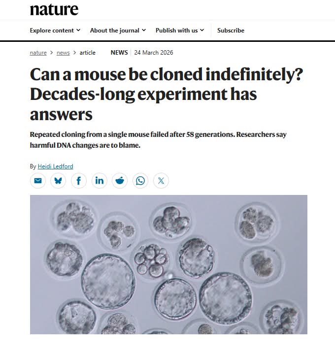 Elena Danaan Official tweet media