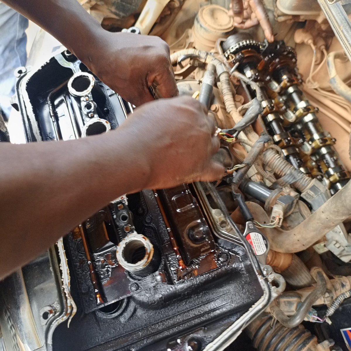 Your Car Guy tweet media